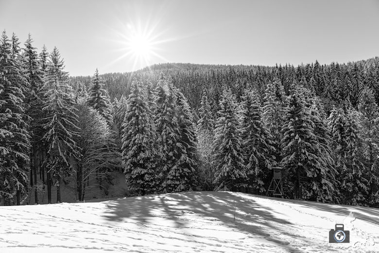 Fotowalk - Winterspaziergang im Münstertal - Gegenlicht