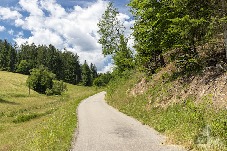 Schwarzwälder Genießerpfad - Waldpfad Groppertal - Wanderweg