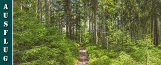 Schwarzwälder Genießerpfad - Waldpfad Groppertal - Wanderung