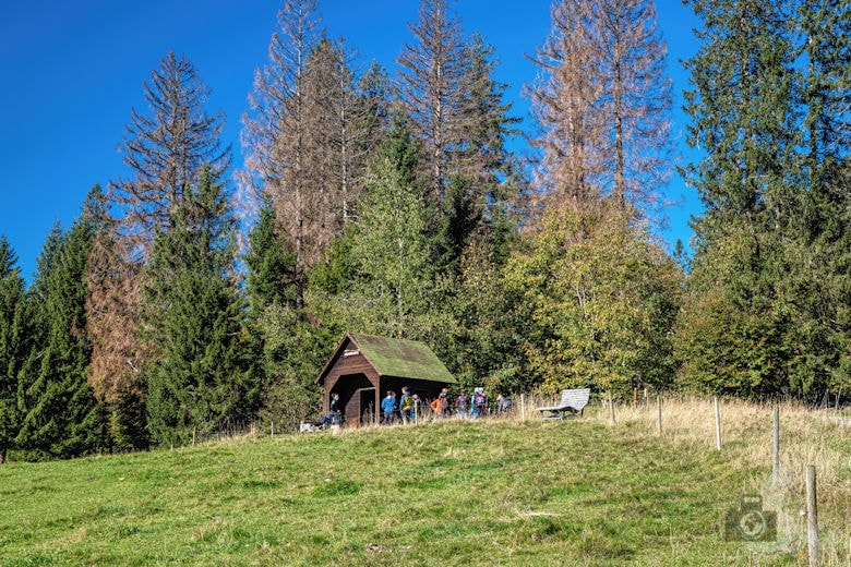 Wanderung - Schwarzwälder Genießerpfad - Bernauer Hochtal Steig - Neumannshütte