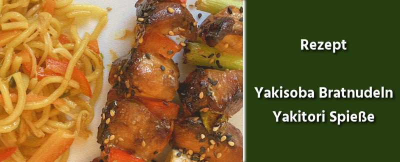 Rezept - Japanische Küche - Yakisoba japanische Bratnudeln & Yakitori Spieße