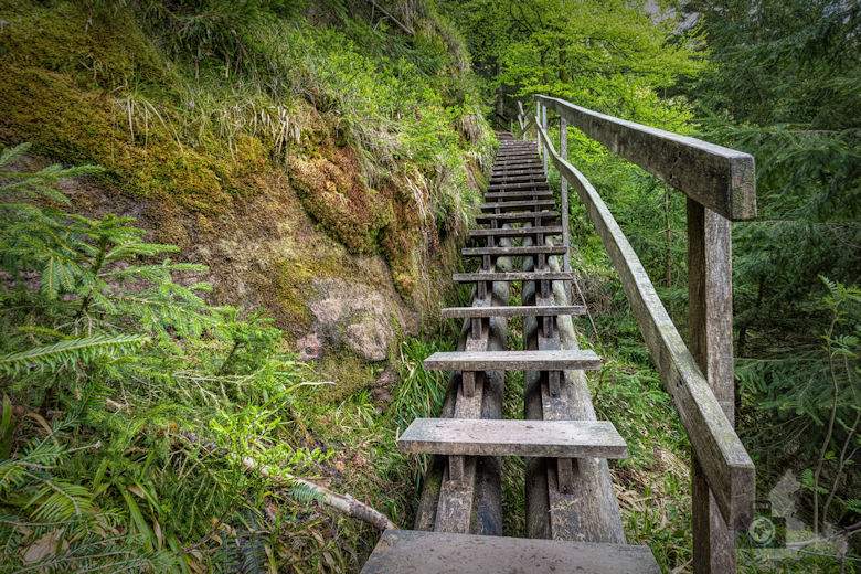 Schwarzwälder Genießerpfad - Teufelskanzelsteig - Treppen