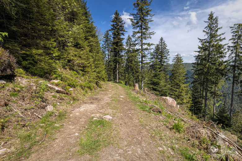Schwarzwälder Genießerpfad - Teufelskanzelsteig - Wanderweg