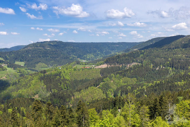 Schwarzwälder Genießerpfad - Teufelskanzelsteig - Schwarzwald