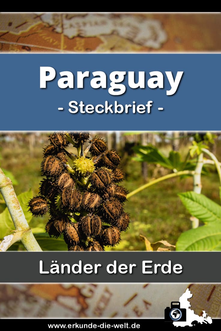 Steckbrief Paraguay