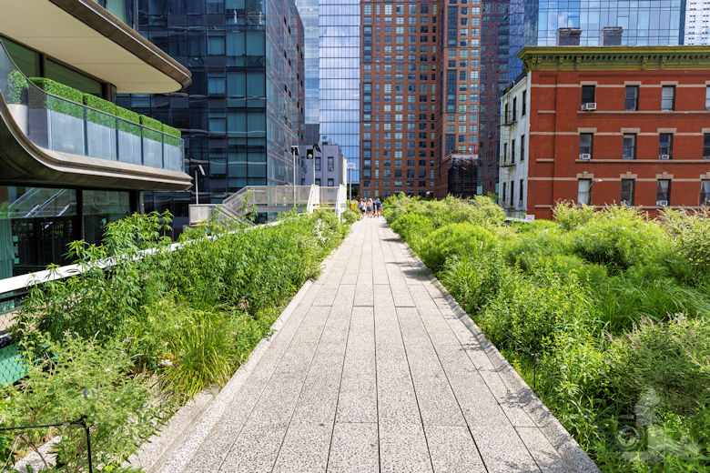 New York - High Line