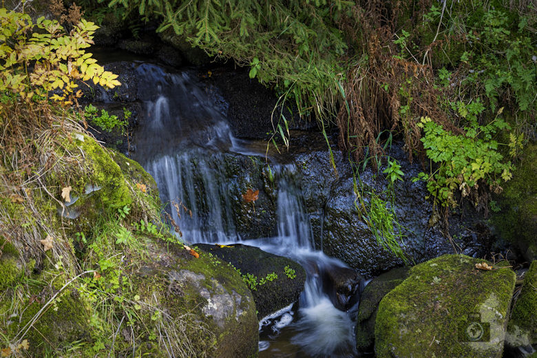 Schwarzwälder Genießerpfad - Viadukt- und Schluchtentour im Herbst - Wasserfall