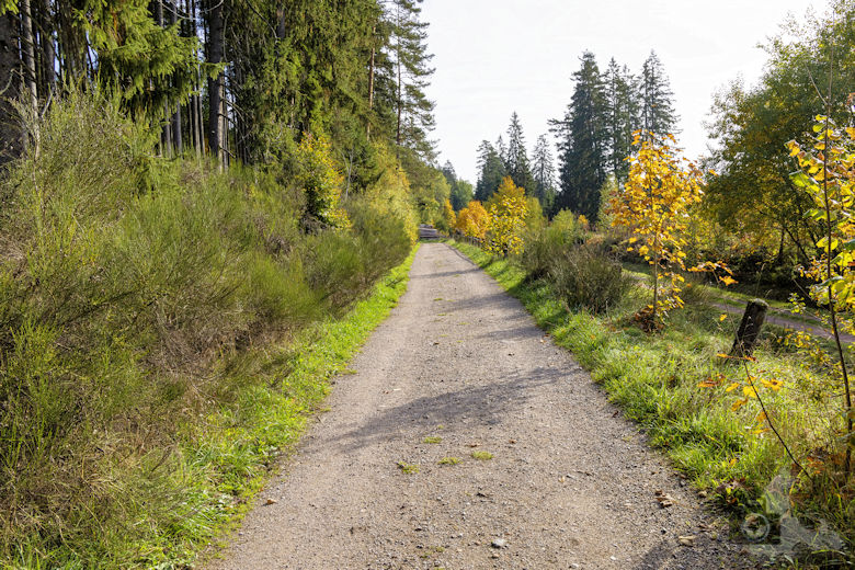 Schwarzwälder Genießerpfad - Viadukt- und Schluchtentour im Herbst - Wanderweg