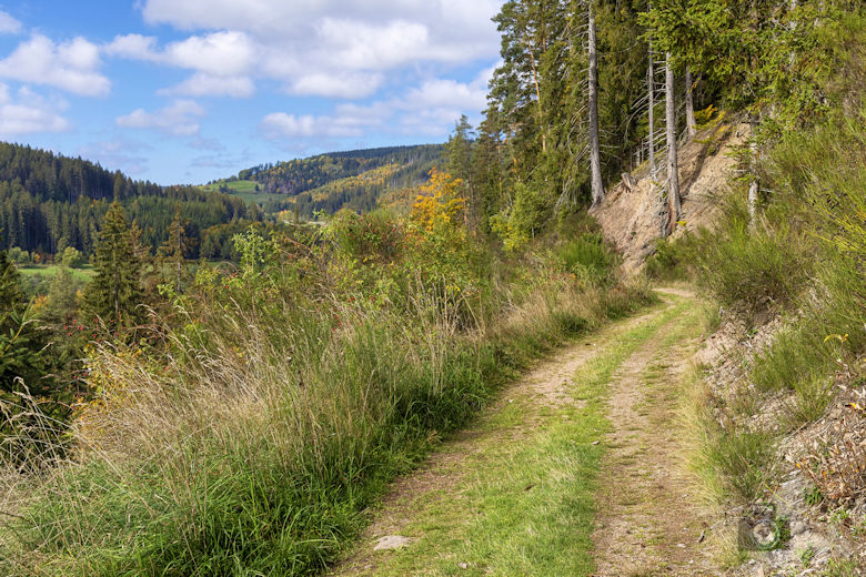 Schwarzwälder Genießerpfad - Viadukt- und Schluchtentour im Herbst - Wanderweg