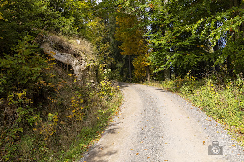 Schwarzwälder Genießerpfad - Viadukt- und Schluchtentour im Herbst