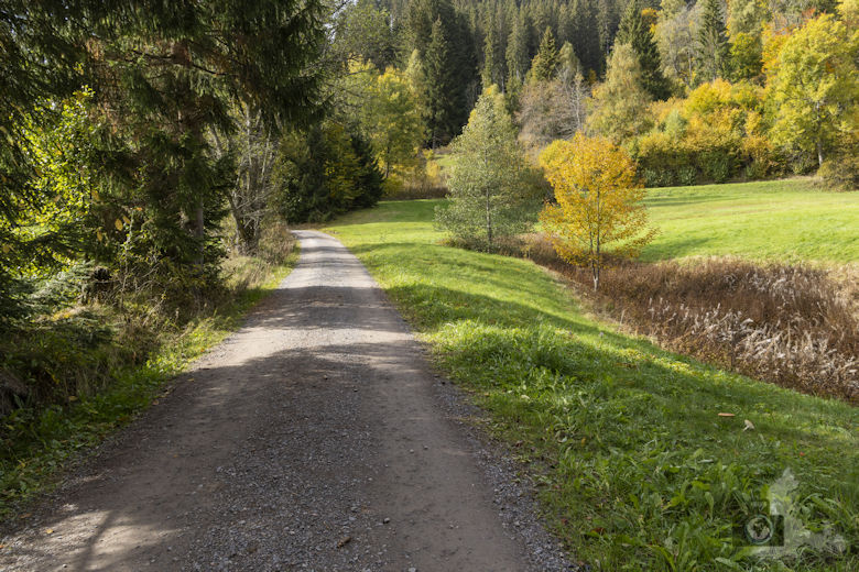 Schwarzwälder Genießerpfad - Viadukt- und Schluchtentour im Herbst