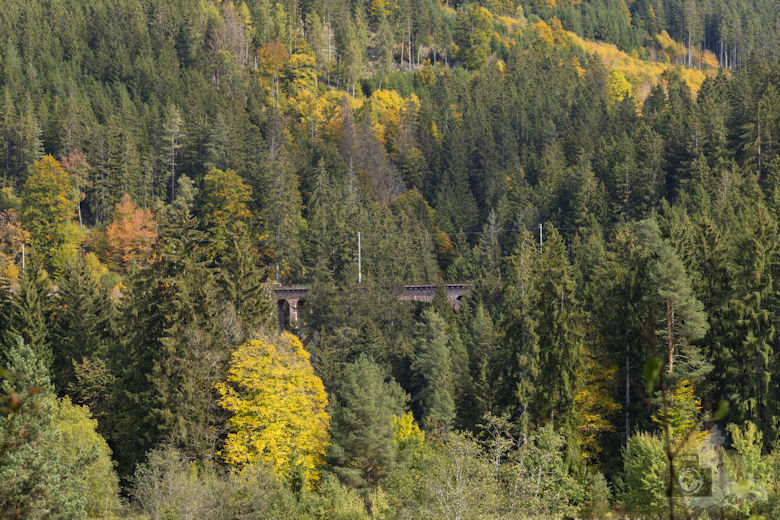 Schwarzwälder Genießerpfad - Viadukt- und Schluchtentour im Herbst - Viadukt