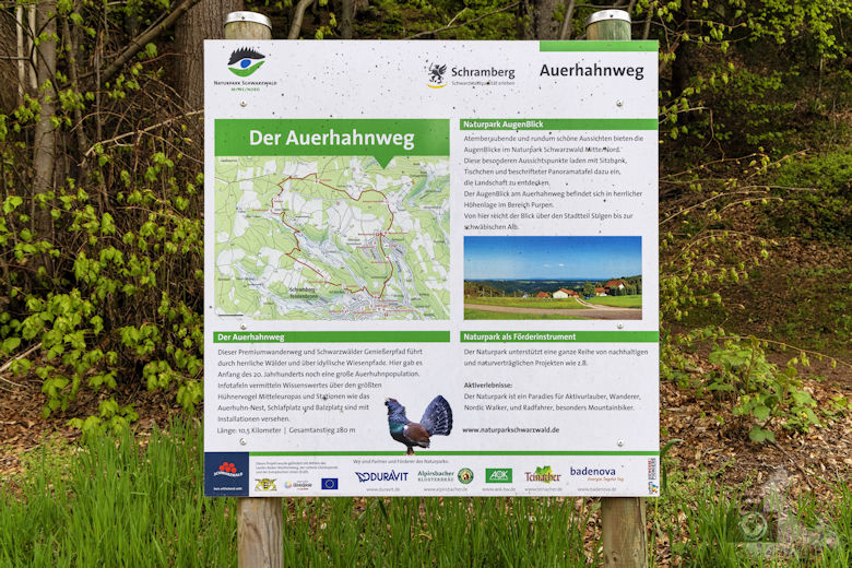 Schwarzwälder Genießerpfad - Auerhahnweg