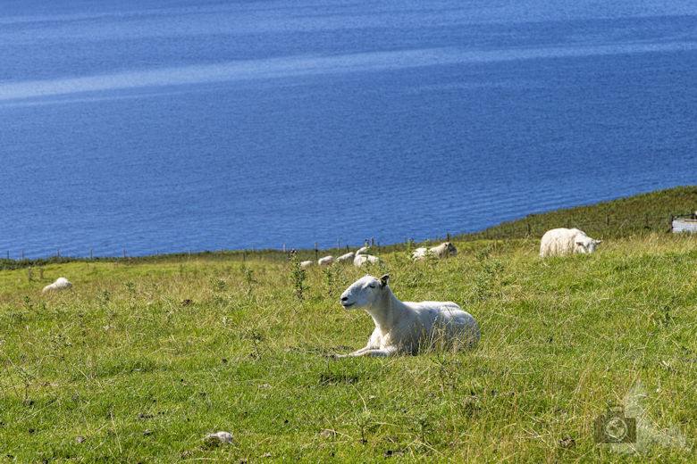 Isle of Skye - Landschaft