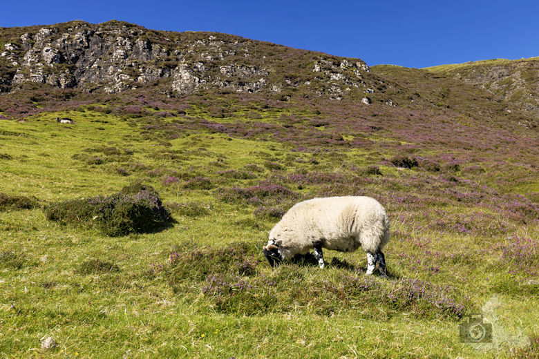 Isle of Skye Highlights - Quiraing