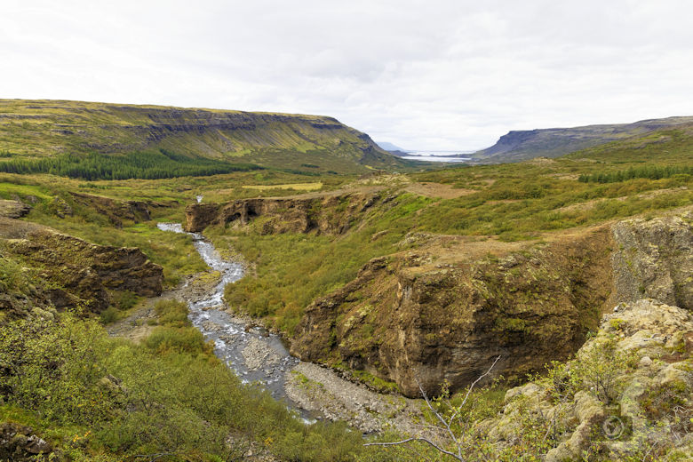 Glymur Wasserfall Wanderung - Tal Haukadalsvegur