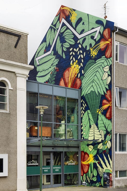 Street-Art & Graffitis in Reykjavik, Island